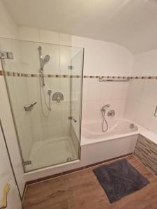 een badkamer met een douche en een bad bij Natur in Maintal