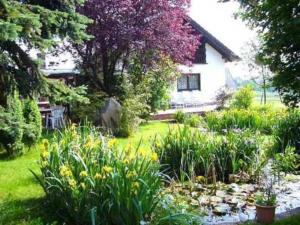 a garden with a pond in front of a house at Gasthaus-Pension Zum Brandweiher in Amorbach