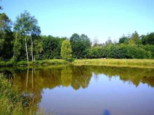 ein Wasserkörper mit Bäumen im Hintergrund in der Unterkunft Gasthaus-Pension Zum Brandweiher in Amorbach