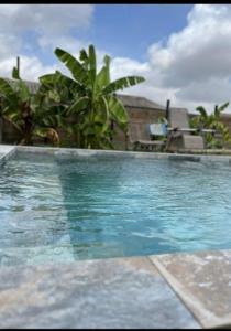 una piscina con agua azul y palmeras en Chambre Cocooning, en Beauvoisin