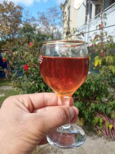 Bevande di Guest House Shateau
