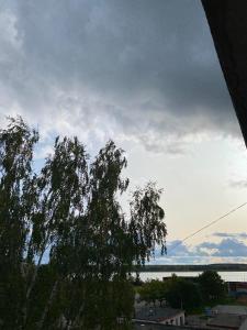 Blick auf einen Baum mit wolkigem Himmel in der Unterkunft Vanalinna Apartment in Võru