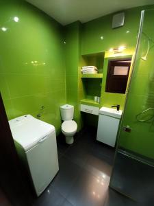 Kúpeľňa v ubytovaní Apartament Krokus