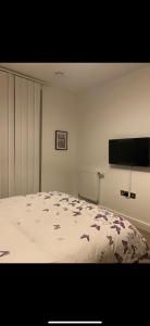 1 dormitorio con 1 cama y TV de pantalla plana en Luxurious suite apartment Scotland, en Edimburgo