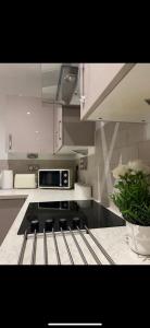 Una cocina o zona de cocina en Luxurious suite apartment Scotland