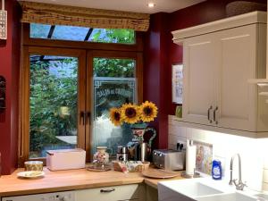 cocina con paredes rojas, ventana y encimera en Gite de Caractère Le Lys Bleu, en Limbourg