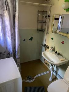 a bathroom with a sink and a shower at Furulund in Linneryd
