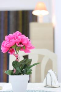 een roze bloem in een witte pot op een tafel bij One Room in Shkodër