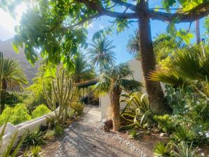 a house with palm trees and a pathway at Finca Origen · Casa Trinidad · Rural· Unique in San Pedro