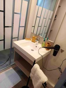 uma casa de banho com um lavatório e um chuveiro com um espelho. em Chalet de 3 chambres avec piscine partagee jacuzzi et jardin amenage a Hasparren em Hasparren