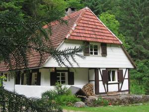 a small white house with a red roof at Waldbauernhof in Hornberg