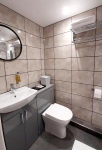 a bathroom with a toilet and a sink and a mirror at Poldice Valley Apartments in Chacewater
