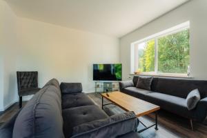 uma sala de estar com um sofá e uma televisão em Ferienwohnungen Hafermarkt em Wildemann