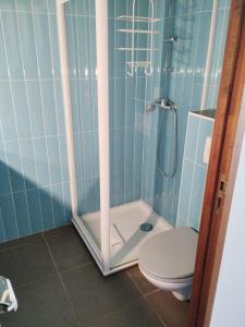 a blue bathroom with a shower and a toilet at Gite de prejeurin in Échalas