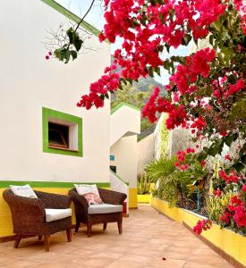 um pátio com 2 cadeiras e flores vermelhas em Casa Regina Tenerife em Tamaimo