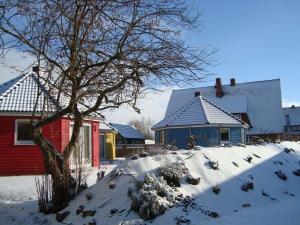 een sneeuwbedekte tuin met huizen en een boom bij Bungalow-Gelb-Peters in Börgerende-Rethwisch