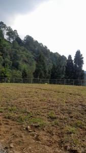 an empty field with a fence in the background at Paseban Mountain View Camping Ground in Pondok Cipaseban