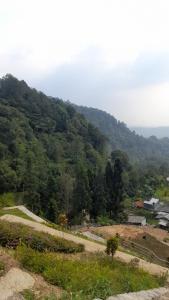 a view of a mountain with trees and a road at Paseban Mountain View Camping Ground in Pondok Cipaseban