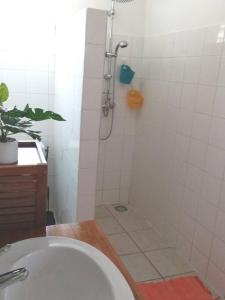e bagno con doccia, servizi igienici e lavandino. di Bungalow papaye a Sainte-Anne