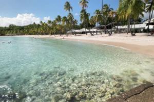 una spiaggia con persone che nuotano nell'acqua di Bungalow papaye a Sainte-Anne Altre 9 foto