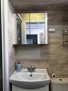 a bathroom with a sink and a mirror and a toilet at Beautiful 1 Double Bedroom Flat Sheffield Netheredge in Heeley