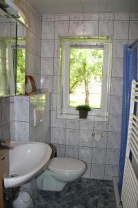 a bathroom with a sink and a toilet and a window at Ferienhaus Dorit & Rüdiger Fahl in Klocksdorf