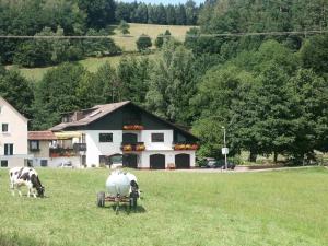 two cows grazing in a field in front of a house at Ferienwohnung Siefert in Mossautal