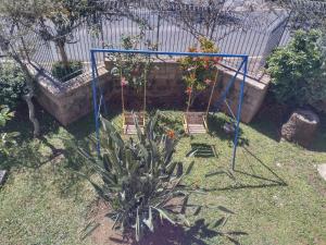 Um jardim em Hostel Residencial Botânico