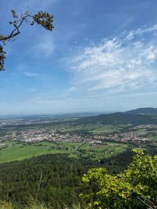 uitzicht op een stad vanaf de top van een heuvel bij Luxliv Apartements in Balingen