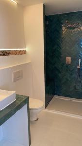 een badkamer met een douche, een toilet en een wastafel bij Luxliv Apartements in Balingen