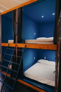 two bunk beds in a room with a blue wall at Hostel Casarão Fronteira in Santana do Livramento