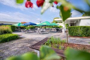Zahrada ubytování Hotel Wiehen-Therme