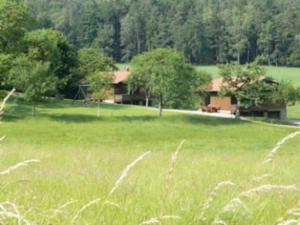 ein großes Grasfeld mit einem Haus im Hintergrund in der Unterkunft Ferienhauser Siefertshof in Mossautal