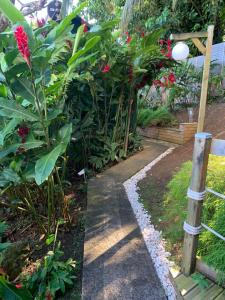 a garden with red flowers and a fence at Bungalow Caraïbes, proche de la route mais calme la nuit. in Trois-Rivières