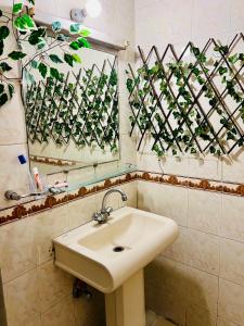 uma casa de banho com um lavatório e um espelho em LUXURY service APARTMENT F-10 Studio - Penthouse em Islamabad