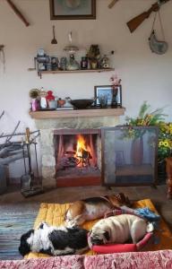 Fotografie z fotogalerie ubytování Beautiful 3 Bedr House in Arakapas with fireplace v destinaci Arakapas