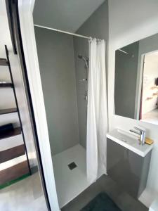 uma casa de banho branca com um chuveiro e um lavatório. em Studio atypique Le Mans em Le Mans