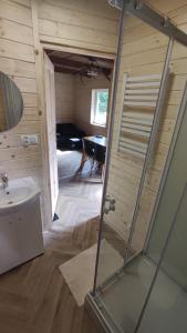 uma casa de banho com um chuveiro e um lavatório num quarto em Domek drewniany Krokus em Witów