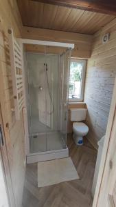 a small bathroom with a shower and a toilet at Domek drewniany Krokus in Witów