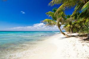 einen Strand mit Palmen und dem Meer in der Unterkunft Eleganz Residence in Grand Baie