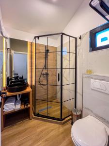 a bathroom with a shower with a toilet and a sink at Moon Village Comarnic in Sinaia