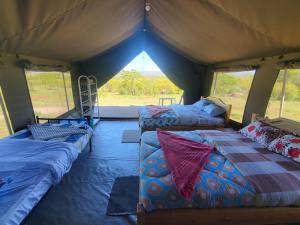 Una habitación con 2 camas en una tienda en osim mara camp, en Sekenani