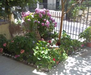 Zahrada ubytování En Leuko Apartments