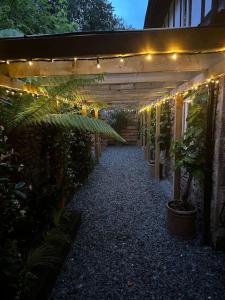 eine Terrasse mit Licht und Topfpflanzen und ein Gebäude in der Unterkunft Quirky Retreats - The Hidden Retreat in Windermere