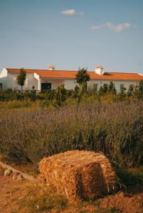 une pile de foin dans un champ avec un bâtiment dans l'établissement Monte de Palma- Quinta Biodinâmica Momentos Únicos, à Évora
