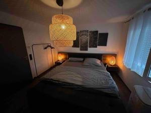 um quarto com uma cama e uma luz pendente em Wohnung in Kressbronn am Bodensee em Kressbronn am Bodensee
