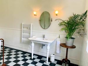 Rouffignac-de-Sigoulès的住宿－Château Le Repos - Luxury air-conditioned property with pool，一间带水槽和盆栽植物的浴室