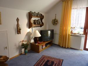 ein Wohnzimmer mit einem TV und einem Fenster in der Unterkunft Ferienwohnung Koenig in Wald-Michelbach