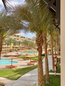 a group of palm trees in a resort with a pool at Apartment in el karma aqua beach resort hurghada near El gouna in Hurghada