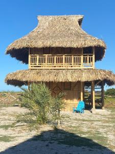 Playa Escondida Mayapo في Mayapo: كوخ بسقف من القش وكرسي أزرق